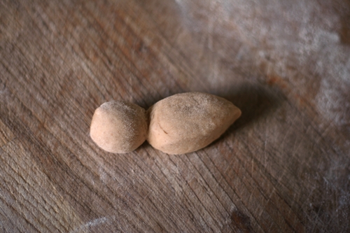 Shape the 'ears' portion by flattening it slightly and adding a point at the end. It will be roughly leaf-shaped, whilst the 'head' portion remains rounded.